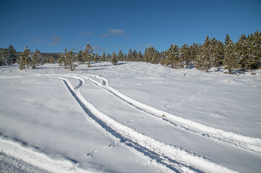 Tracks in snow covered trail