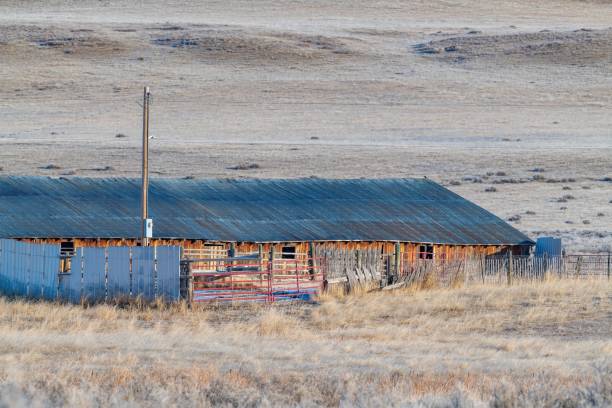 istock Abandoned old barn in western USA 1297535113