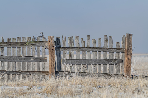 old iron and wooden fence in a sunny day