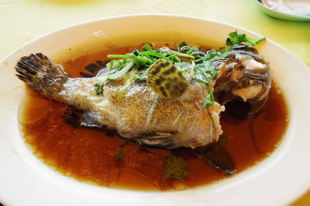 Seafood Seafood dish of steamed grouper based on soy sauce grouper stock pictures, royalty-free photos & images