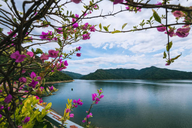 istock The lake scenery with mountains behind under the blue sky 1297544788