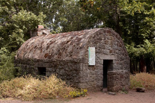 istock Mountain refuge in the forest. 1297548079
