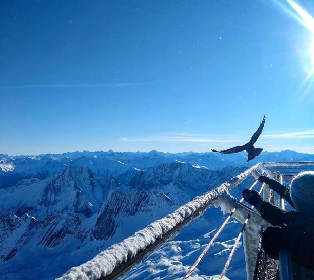 istock German Alps aerial view 1297548943