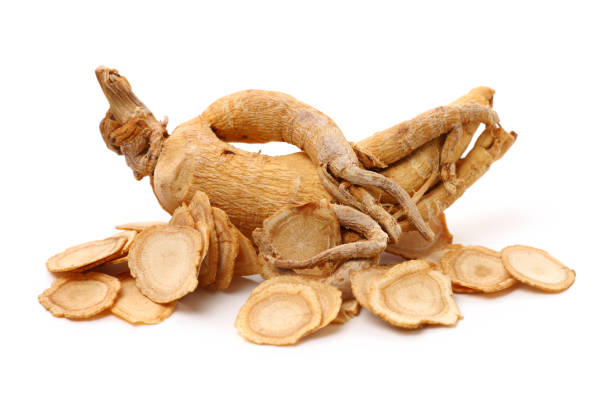 medicina herbaria china - rebanadas de ginseng americano - ginseng fotografías e imágenes de stock