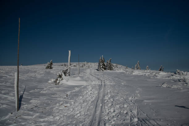 체코의 겨울 제세니키 산맥 벨로우 비소카 홀 힐 - clear sky ski footpath snow 뉴스 사진 이미지