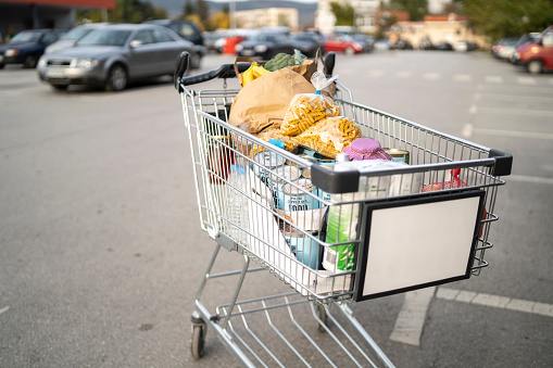 Shopping cart with food and goods