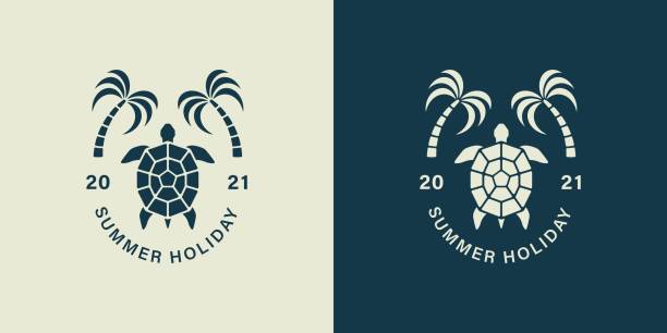 Set of color illustrations turtle, palm tree, text on the background. Vector illustration for emblem, flyer, sticker, label and print. Summer vacation advertisement. Symbols of rest on the seaside. sea turtle clipart stock illustrations