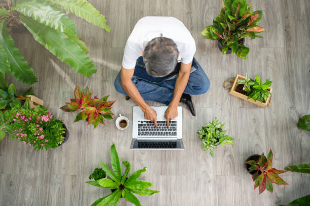 istock Happy senior watering green plants at home 1297553502