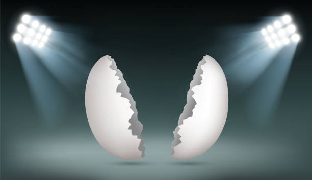 rozbite puste jajko kurze na dwie połówki - healthcare and medicine backgrounds eggs animal egg stock illustrations