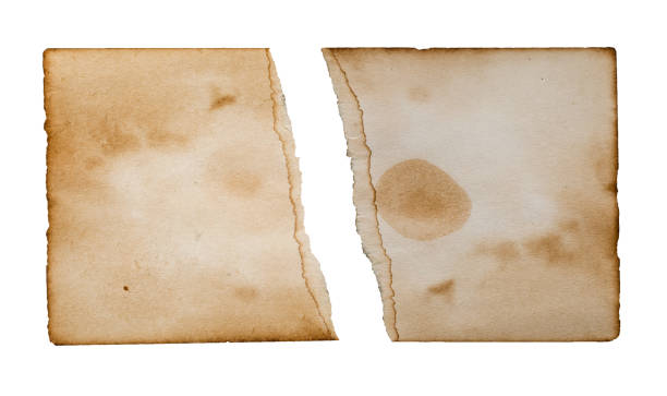 istock Vintage background with ripped old paper isolated on white background. 1297559349