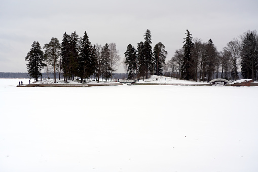 Winter in park-like estate Monrepos. The expanse of the Gulf of Finland in winter. Vyborg, Russia.