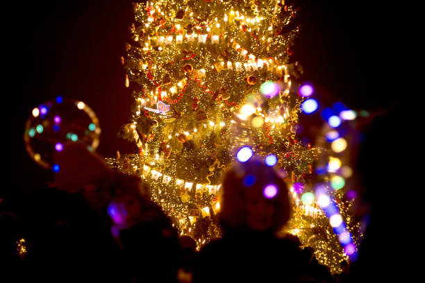 главная новогодняя елка на дворцовой площади в санкт-петербурге. зима в россии - winter palace st petersburg town square outdoors стоковые фото и изображения