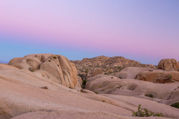 istock Joshua Tree National Park 1297562997