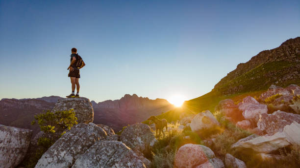 istock Sunrise mountain trail runner standing on rock with dog looking at view 1297565957