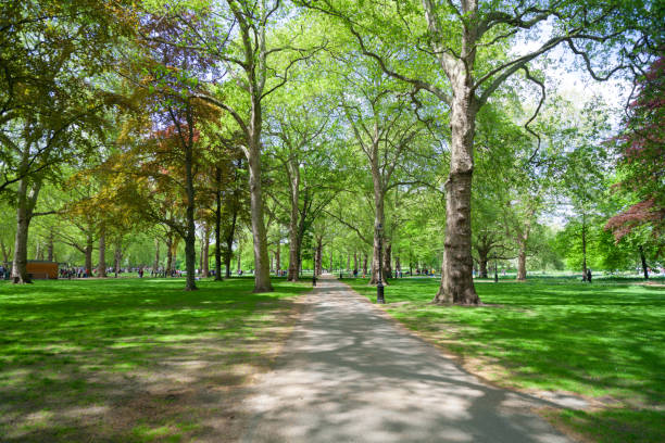 Springtime In Green Park, Central London