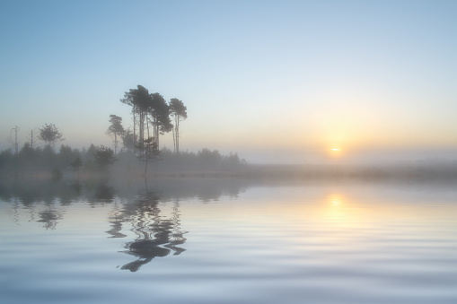 Mist rises over gently rippled water at dawn. Trees on the far side are reflected in the water's surface.