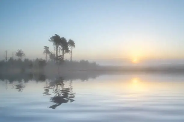 Photo of Dreamy Lakeside Sunrise