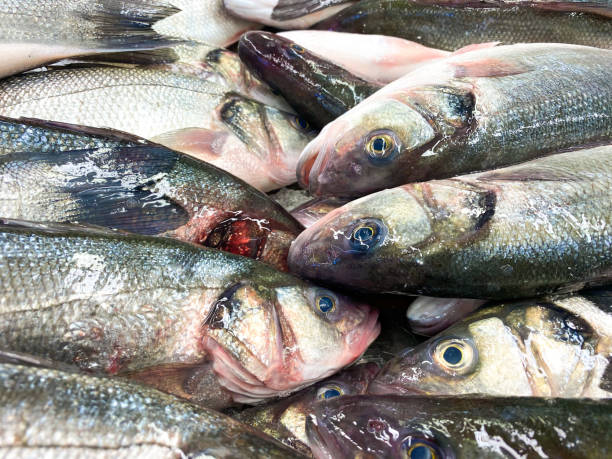 istock Fresh fish on the market 1297568585