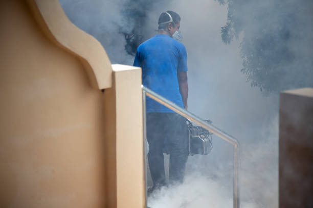istock sanitization from viruses. a man in a respirator sprays an antiseptic 1297568679