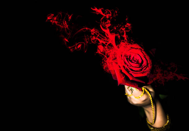 Holding rose with fire and smoke isolated on dark background