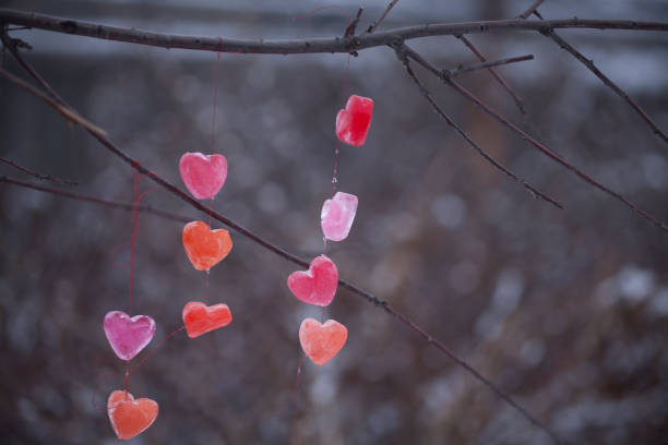 istock icy colored hearts hanging on branches, valentine's day card 1297572189