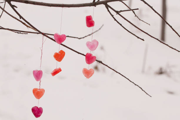 istock icy colored hearts hanging on branches, valentine's day card 1297572291