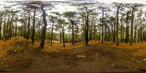 istock Yamanlar Mountain, Izmir - Turkey. Full seamless spherical HDR panorama 360 degrees angle view on cycling and pedestrian walking path among the bushes of forest in equirectangular projection, ready VR AR virtual reality content 1297573527