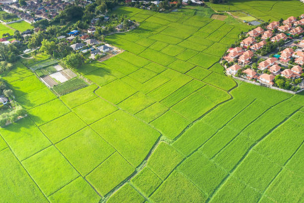 istock Aerial view of land plot and housing subdivision. 1297573535