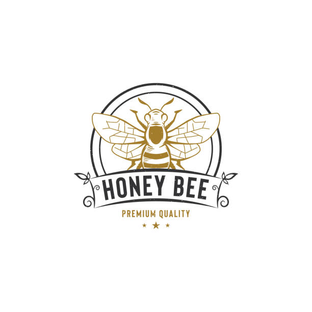 szablon logo pszczoły miodu. ręcznie rysowane ilustracje w stylu vintage - queen bee stock illustrations