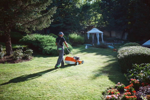 istock Professional gardener mowing lawn with mower. 1297574713