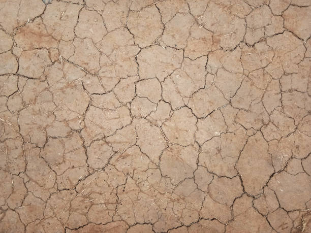 istock The ground has cracks in the top view for the background or graphic design 1297575130