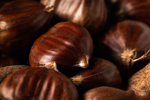Heap of freshly harvested sweet chestnuts on dark background. 45 degree angle view, full frame macro shot.