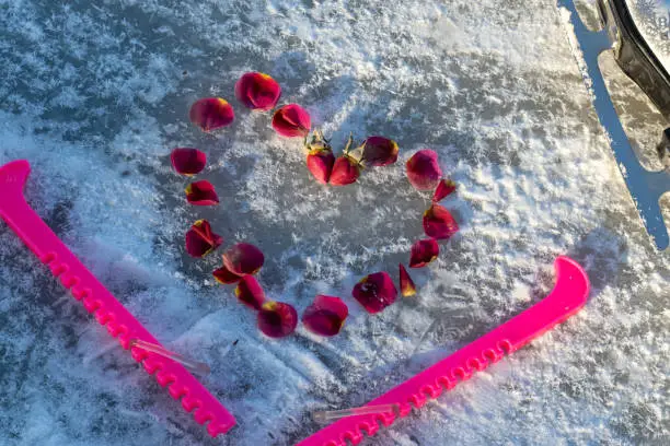 Congratulations on Valentine's Day. Rose petals are laid out in form of  valentine on ice. Pink covers for women's skates