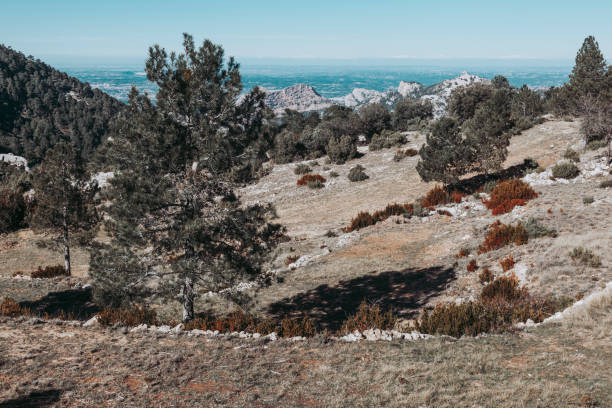 istock Los Ports natural Park 1297577676