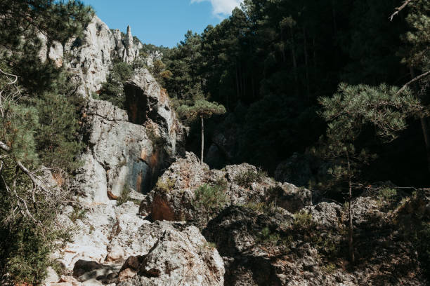 istock Los Ports Mountains  natural park 1297577873