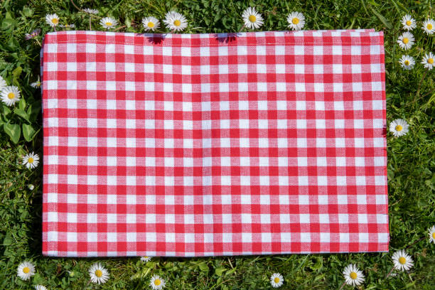 Red picnic blanket. Red checkered picnic cloth on a flowering meadow with daisy flowers. Beautiful backdrop for your product placement or montage. Red picnic blanket. Red checkered picnic cloth on a flowering meadow with daisy flowers. Beautiful backdrop for your product placement or montage. picnic blanket stock pictures, royalty-free photos & images