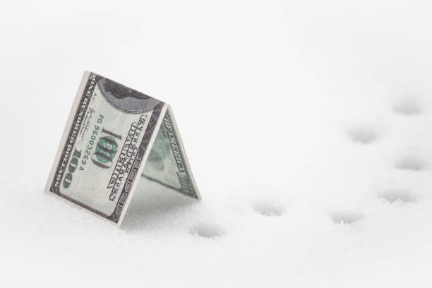 istock image of money snow background 1297584974