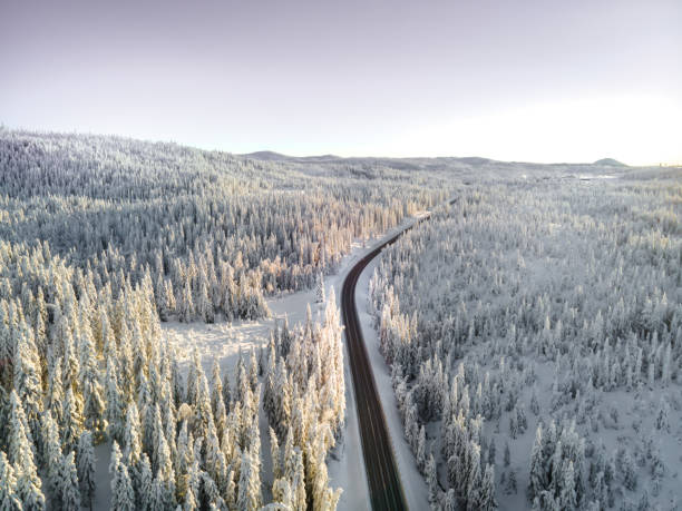 istock Highway with cars driving through a mountain pass with snow covered trees. 1297585301