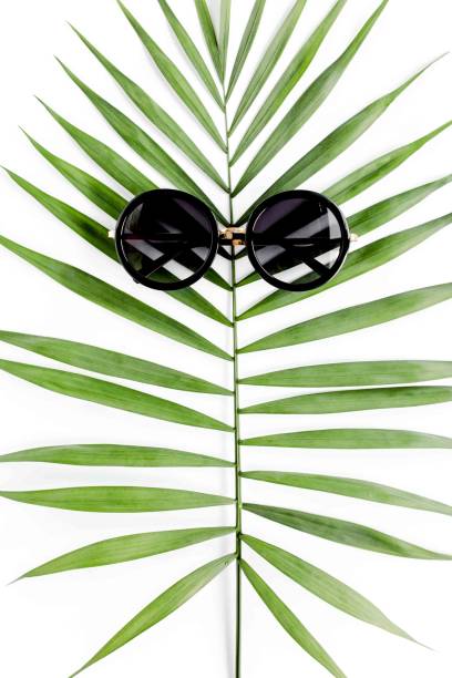 istock Tropical hipster leaf in sunglasses on white background. Flat laying, top view 1297586655