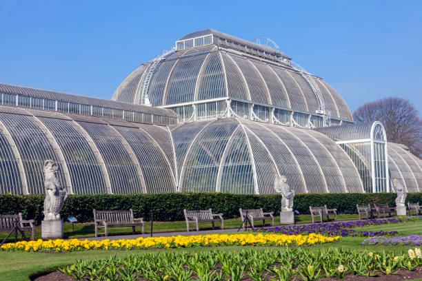 London, UK, March 24, 2012 : The Great Palm House at Kew Gardens a Victorian greenhouse which was constructed in 1844 and is a popular tourist travel destination attraction landmark, stock photo image