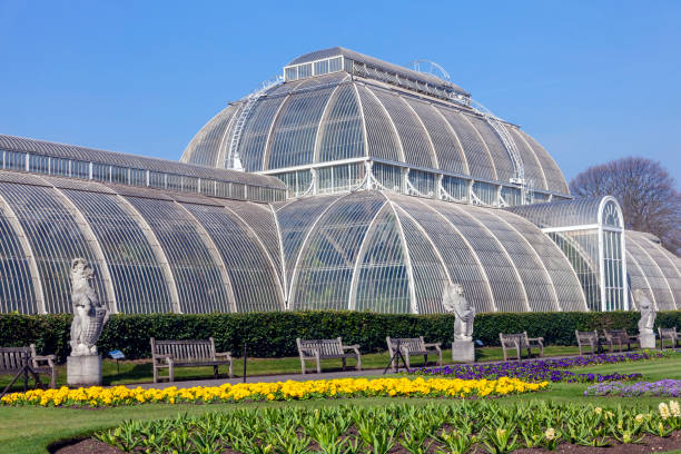 The Great Palm House at Kew Gardens London, UK, March 24, 2012 : The Great Palm House at Kew Gardens a Victorian greenhouse which was constructed in 1844 and is a popular tourist travel destination attraction landmark, stock photo image kew garden stock pictures, royalty-free photos & images