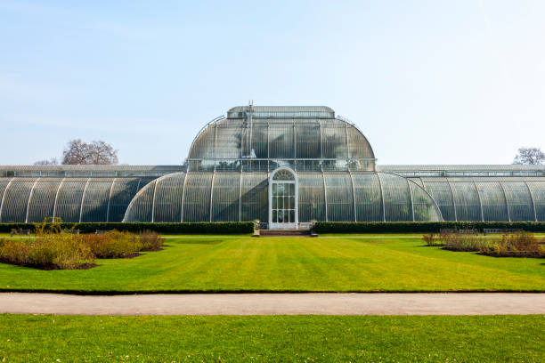 The Great Palm House at Kew Gardens London, UK, March 24, 2012 : The Great Palm House at Kew Gardens a Victorian greenhouse which was constructed in 1844 and is a popular tourist travel destination attraction landmark, stock photo image kew gardens stock pictures, royalty-free photos & images