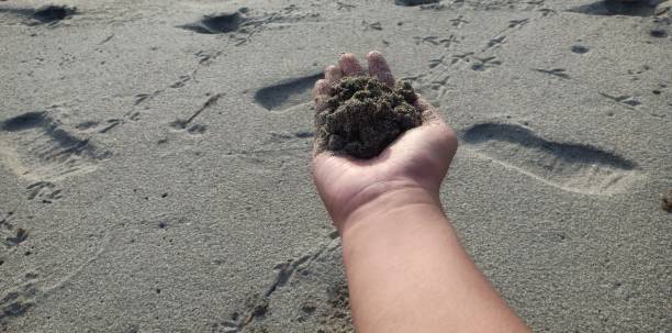 istock the person's hand touching the sand 1297588407