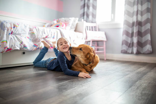 私を舐めるのはやめなさい!それはくすぐる! - child house dog bed ストックフォトと画像