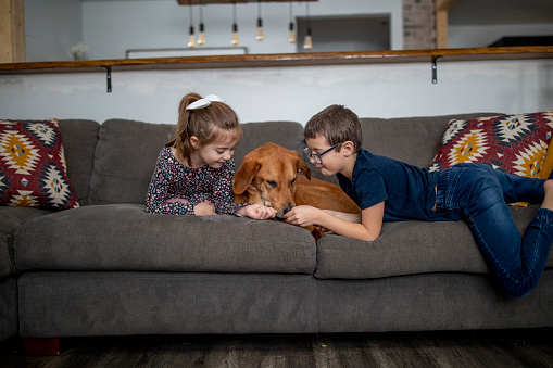 An adorable brother and sister of Caucasian ethnicity are spending time with their dog at home. They are lounging on the sofa in their living room.