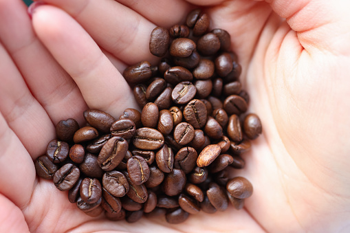 Coffee beans lying in hands in shape of heart closeup. Valentines Day concept