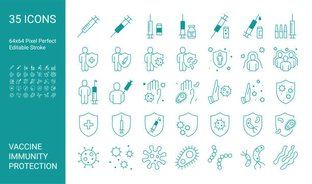 Vector icon set with vaccines, vaccination, immunity, protection against viruses. 64x64 Pixel Perfect. Editable Stroke. Vector icon set with vaccines, vaccination, immunity, protection against viruses. 64x64 Pixel Perfect. Editable Stroke. immune system stock illustrations