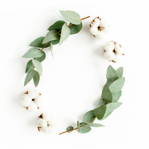 istock Wreath frame made of branches eucalyptus, leaves and cotton isolated on white background. flat lay, top view 1297590729