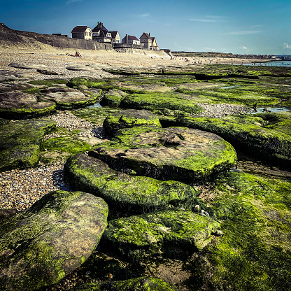 Stones covered by green  seaweeds and traditional houses at the beach of Audresselles, Cap Gris Nez, opal coast, north sea, France