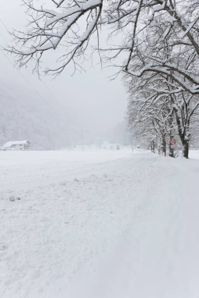 istock Country road sunken in deep snow 1297591636
